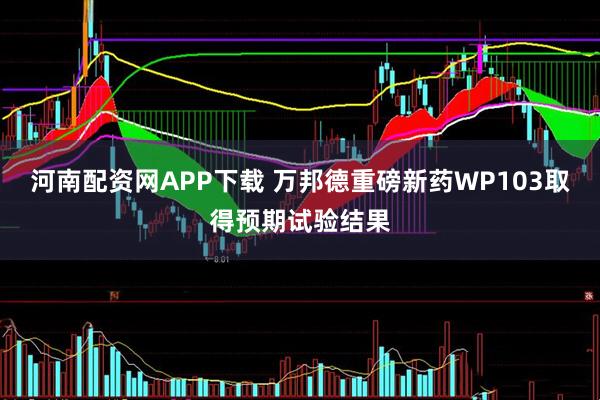 河南配资网APP下载 万邦德重磅新药WP103取得预期试验结果