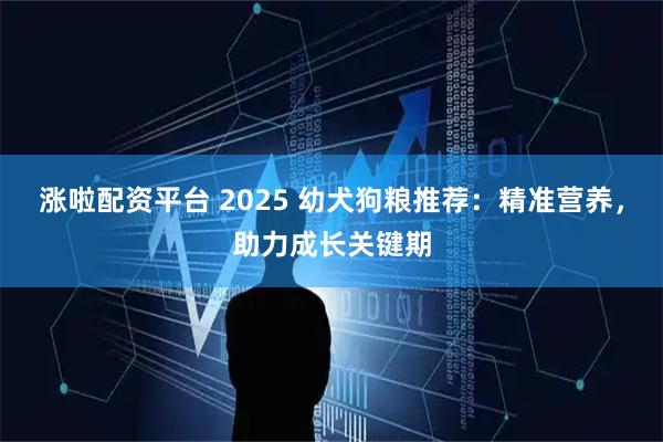 涨啦配资平台 2025 幼犬狗粮推荐：精准营养，助力成长关键期