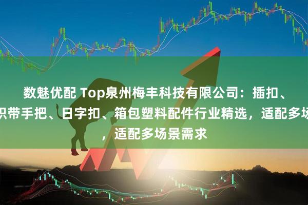 数魅优配 Top泉州梅丰科技有限公司：插扣、勾扣、织带手把、日字扣、箱包塑料配件行业精选，适配多场景需求