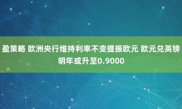 盈策略 欧洲央行维持利率不变提振欧元 欧元兑英镑明年或升至0.9000