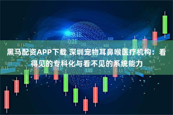 黑马配资APP下载 深圳宠物耳鼻喉医疗机构：看得见的专科化与看不见的系统能力